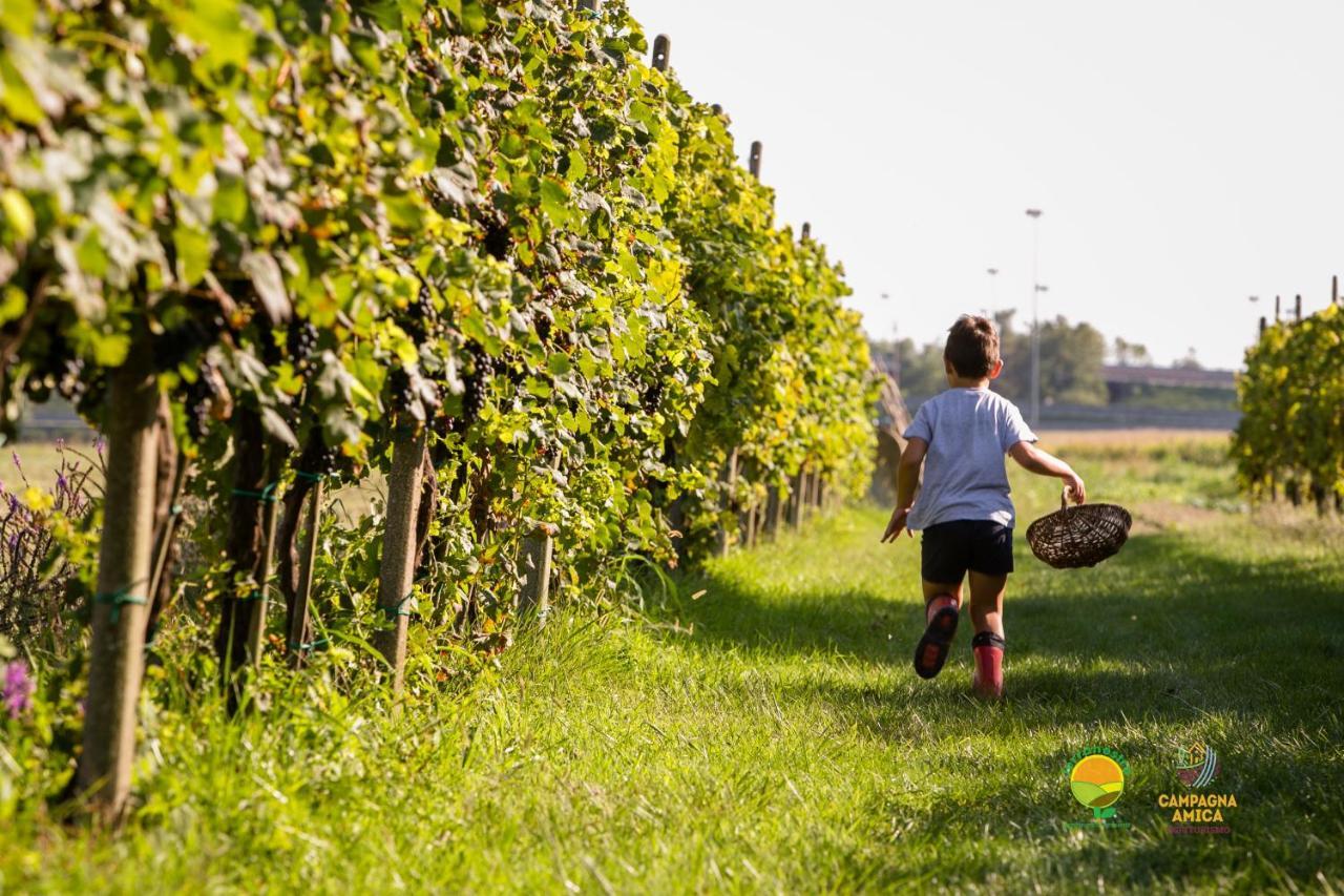 Agriturismo Ai Carpini Villa Marcon Luaran gambar