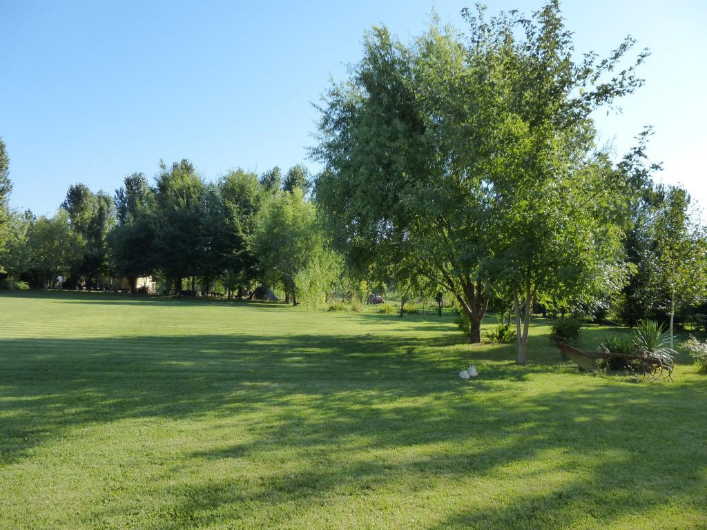 Agriturismo Ai Carpini Villa Marcon Luaran gambar